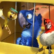 Rio - galeria zdjęć - filmweb