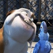 Rio - galeria zdjęć - filmweb