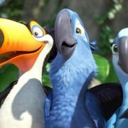Rio - galeria zdjęć - filmweb
