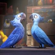 Rio - galeria zdjęć - filmweb