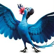 Rio - galeria zdjęć - filmweb