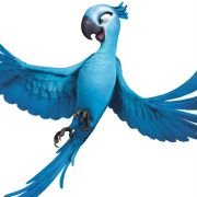 Rio - galeria zdjęć - filmweb
