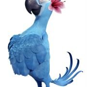Rio - galeria zdjęć - filmweb