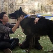 Sons of Tucson - galeria zdjęć - filmweb