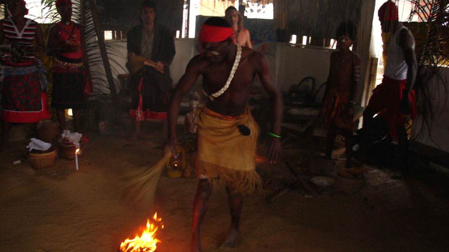 Królowie dżungli (recenzja filmu Chore ptaki umierają łatwo)
