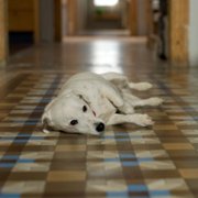 Historias para no contar - galeria zdjęć - filmweb