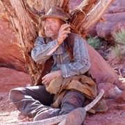The Canyon - galeria zdjęć - filmweb