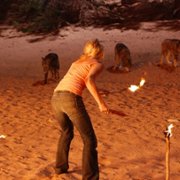 The Canyon - galeria zdjęć - filmweb