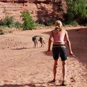 The Canyon - galeria zdjęć - filmweb