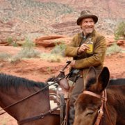 The Canyon - galeria zdjęć - filmweb