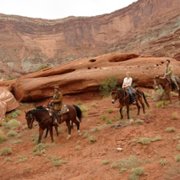 The Canyon - galeria zdjęć - filmweb