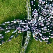 Europe from Above - galeria zdjęć - filmweb