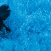 Niebieski ptak - galeria zdjęć - filmweb
