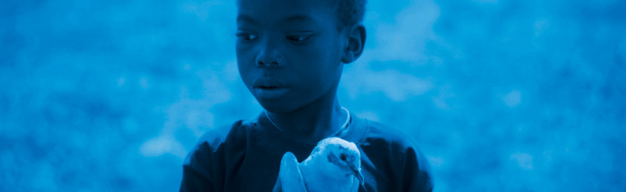 Niebieski ptak - galeria zdjęć - filmweb