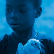 Blue Bird - galeria zdjęć - filmweb
