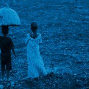 Blue Bird - galeria zdjęć - filmweb