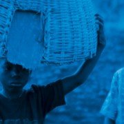 Blue Bird - galeria zdjęć - filmweb