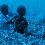 Blue Bird - galeria zdjęć - filmweb