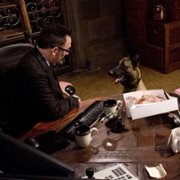 Person of Interest - galeria zdjęć - filmweb