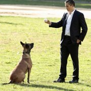 Person of Interest - galeria zdjęć - filmweb