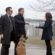 Person of Interest - galeria zdjęć - filmweb