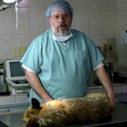 Śmierć psa - galeria zdjęć - filmweb