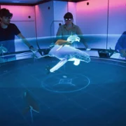 OceanXplorers - galeria zdjęć - filmweb