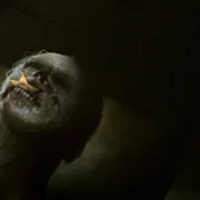 Silver Pines - galeria zdjęć - filmweb