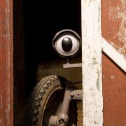 Gråtass gir gass - galeria zdjęć - filmweb