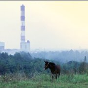 Trochę raju - galeria zdjęć - filmweb