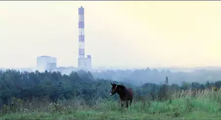 Trochę raju - galeria zdjęć - filmweb