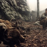 L'ours - galeria zdjęć - filmweb