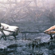 Die Unendliche Geschichte - galeria zdjęć - filmweb
