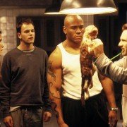 Mindhunters - galeria zdjęć - filmweb