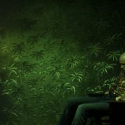 Nói albinói - galeria zdjęć - filmweb