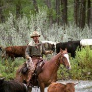 Open Range - galeria zdjęć - filmweb