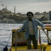 Kulawe konie - galeria zdjęć - filmweb