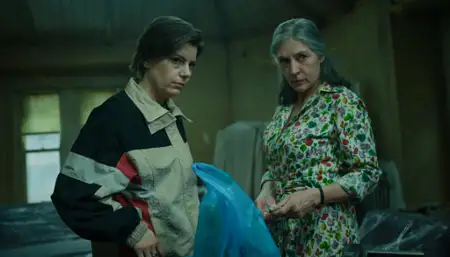 Kulawe konie - galeria zdjęć - filmweb