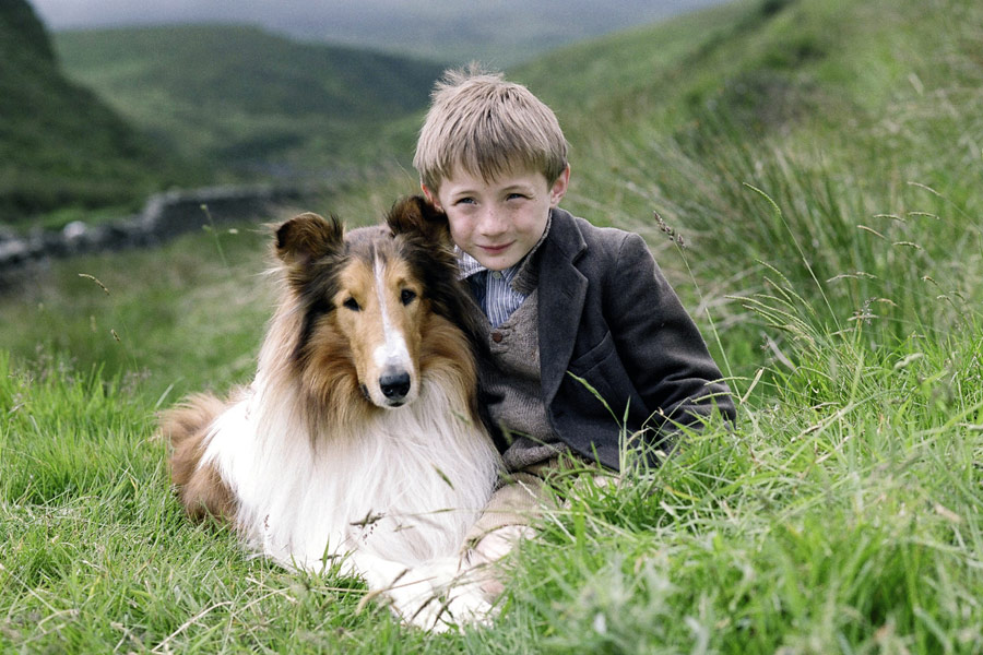 Lassie - galeria zdjęć - filmweb