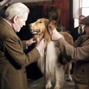 Lassie - galeria zdjęć - filmweb