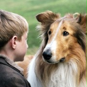 Lassie - galeria zdjęć - filmweb