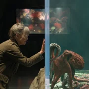 Niezwykle szlachetne stworzenia - galeria zdjęć - filmweb