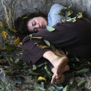 The Tree - galeria zdjęć - filmweb