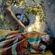 The Tree - galeria zdjęć - filmweb