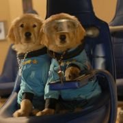 Space Buddies - galeria zdjęć - filmweb