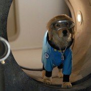 Kosmiczne psiaki - galeria zdjęć - filmweb
