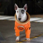 Space Buddies - galeria zdjęć - filmweb