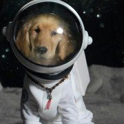 Space Buddies - galeria zdjęć - filmweb