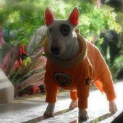 Space Buddies - galeria zdjęć - filmweb