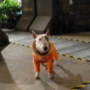 Space Buddies - galeria zdjęć - filmweb